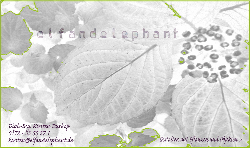 elf and elephant